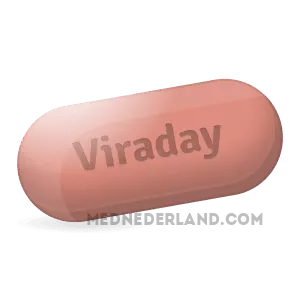 Membeli_Viraday_dalam_talian